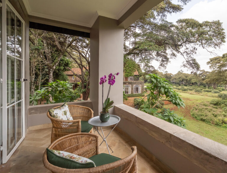 1757934465706giraffe-manor-2025-9247