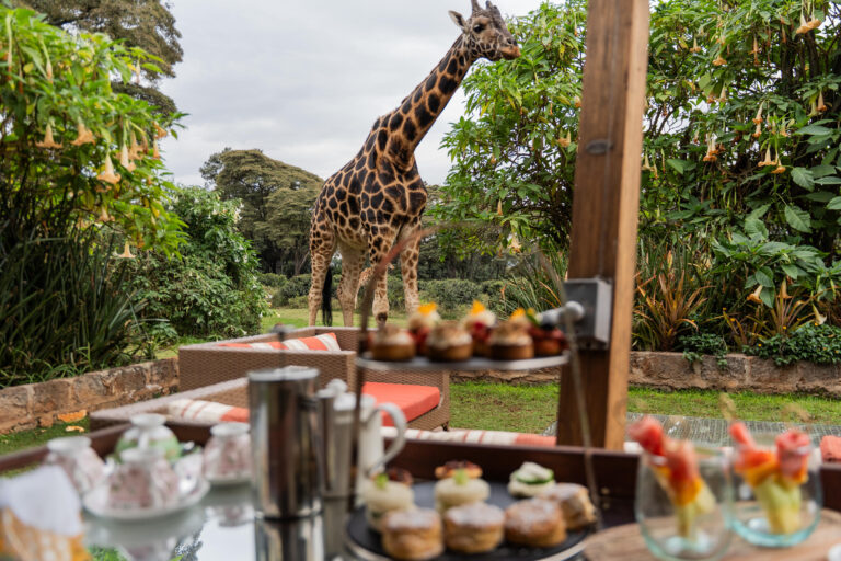 A spot of tea and a giraffe