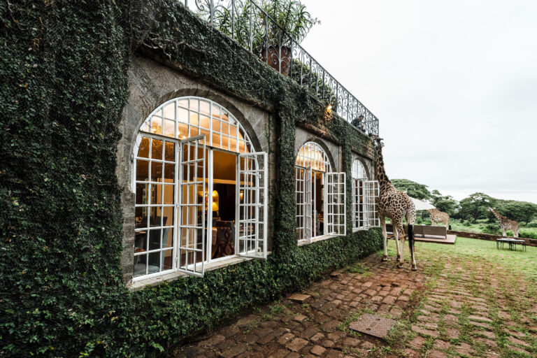 Giraffe Manor_10