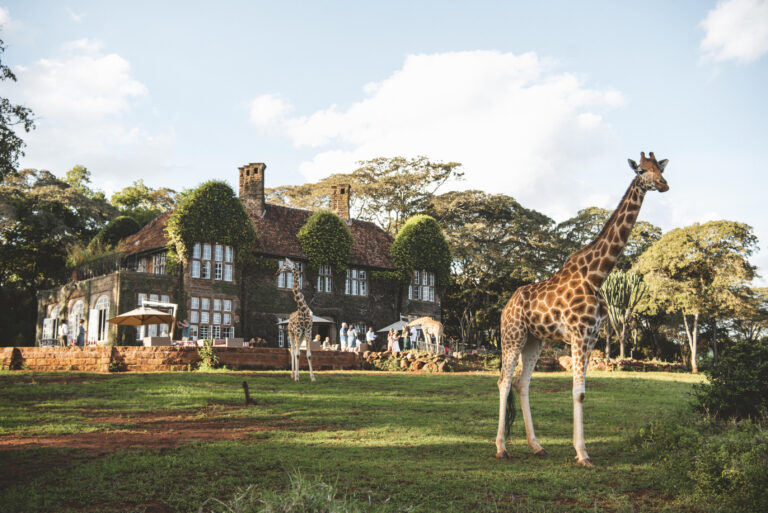 Giraffe Manor_2