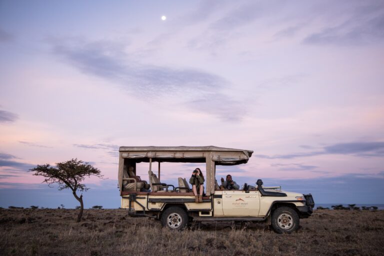 mahali-mzuri-evening-game-viewing