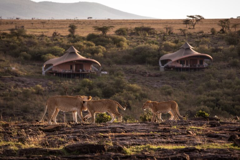 mahali_mzuri_2-7